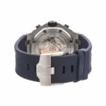 AP Diver - Image 4