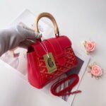 Goyard mini Saigon Red Saddle bag Size:22*8*15cm - Image 4