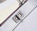 FENDI Peekaboo Crocodile Leather sliver hardware 23ss 335 Size: 20*15cm - Image 7