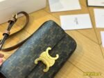 CELINE TRIOMPHE Presbyopia pattern Crossbody bag Black size: 19*15cm - Image 4