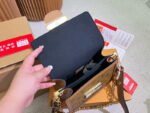 Louis Vuitton / LV Classic Daphne with chain ➕ belt strap Size :20cm/25cm - Image 9