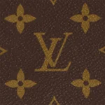 Louis Vuitton / LV Petit Sac Plat M81295 - Image 7